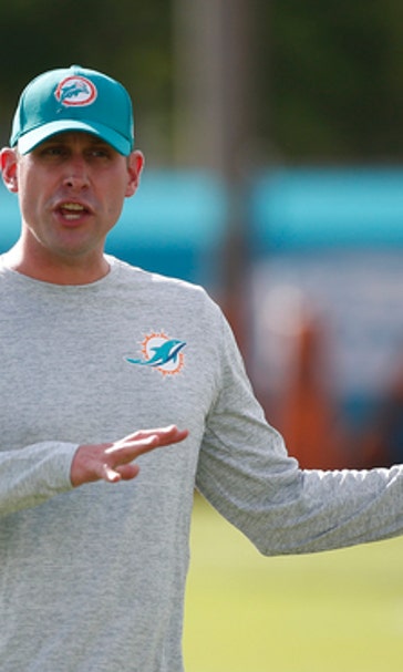 Are Dolphins' new video boards worth watching? They think so